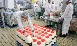 با این ۹ نکته خواندنی، لبنیات چوپان را بهتر بشناسید