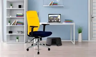 8 نکته جالب که درباره راحتیران باید بدانید