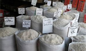 برنج تایلندی رکورد گرانی را شکست؛ برنج پاکستانی دوم شد