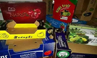 هر آنچه که باید راجع به آوین پک بدانید