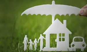 11 نکته خواندنی از بیمه آسماری