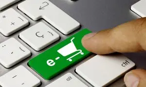 همه آنچه باید درباره یارباکس بدانید