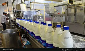 حضور صددرصدی محصولات پگاه در ویترین فروشگاه‌ها