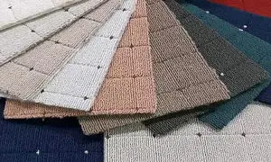 ۱۰ نکته درباره ظریف مصور که باید بدانید