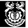شركت ملی صنايع مس ايران