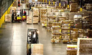 درباره شرکت پخش و بازرگانی پارمیس چه می‌دانید؟