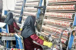خواندنی‌هایی درباره گروه تبرک و محصولاتش