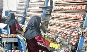 خواندنی‌هایی درباره گروه تبرک و محصولاتش