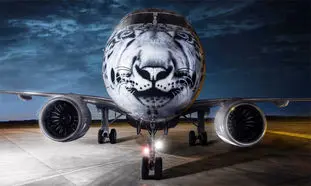 ویدیویی دیدنی از زیباترین رنگ آمیزی هواپیماها