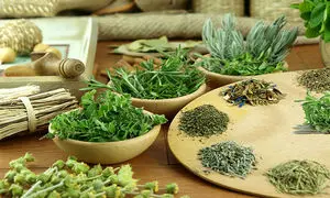 ۱۹ نکته خواندنی از محصولات سینره
