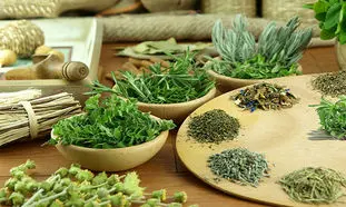 ۱۹ نکته خواندنی از محصولات سینره
