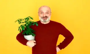 ترفندهایی جالب برای کاشت گیاه در خانه که باید ببینید