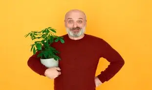 ترفندهایی جالب برای کاشت گیاه در خانه که باید ببینید