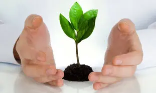 8 نکته درباره بیمه اتکایی ایرانیان