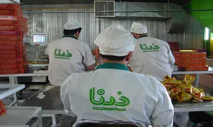 14 نکته که باید درباره کیک و کلوچه درنا بدانید