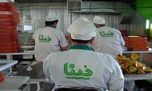 14 نکته که باید درباره کیک و کلوچه درنا بدانید