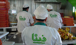 14 نکته که باید درباره کیک و کلوچه درنا بدانید
