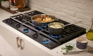 پادیسان را با این ۱۲ نکته بیشتر بشناسید