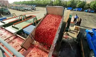 ۹ نکته خواندنی درباره رب روژین