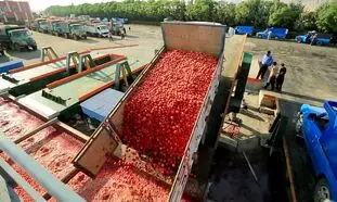 ۹ نکته خواندنی درباره رب روژین