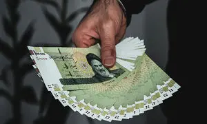 یک یارانه جدید در راه است