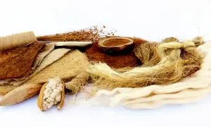 درباره پوشاک الیاف طبیعی تنِ درست چه می‌دانید؟