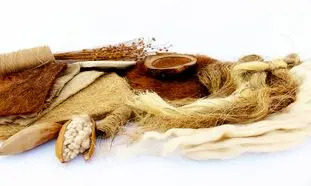 درباره پوشاک الیاف طبیعی تنِ درست چه می‌دانید؟