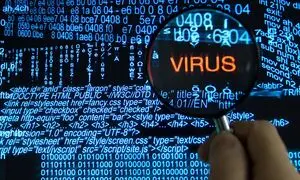 با مجموعه باگدشت خدماتش آشنا هستید؟