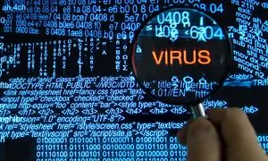 با مجموعه باگدشت خدماتش آشنا هستید؟