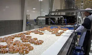 همه آنچه باید درباره نان رضوی بدانید
