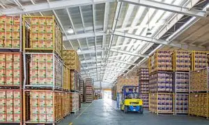 15 نکته خواندنی از محصولات غذایی اویلا و فامیلا