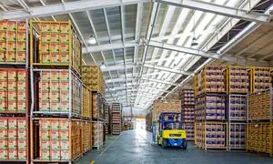 15 نکته خواندنی از محصولات غذایی اویلا و فامیلا