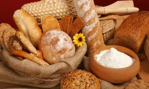 همه آنچه می‌خواهید درباره نان آوران بدانید