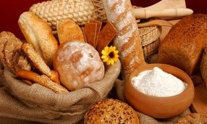 همه آنچه می‌خواهید درباره نان آوران بدانید