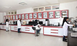 ۲۵ نکته درباره محصولات فولیکا و آردن