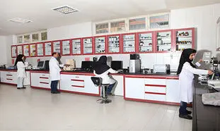 ۲۵ نکته درباره محصولات فولیکا و آردن
