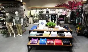 هر آنچه باید درباره سله بن بدانید
