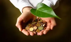 تجربه‌ی نیکوکاری با ویکی نیکی در ۱۲ نکته