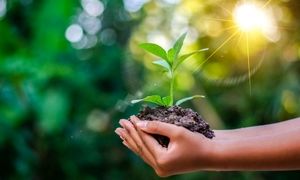 زیما و خدمات حفاظت از محیط زیست آن را می‌شناسید؟