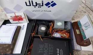 خدمات پرداخت الکترونیکی زیبال را در ۱۱ نکته بشناسید