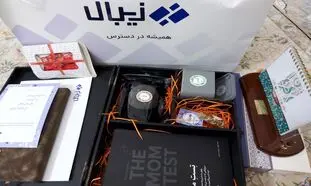 خدمات پرداخت الکترونیکی زیبال را در ۱۱ نکته بشناسید