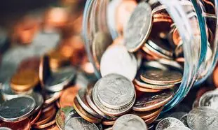 همه آنچه باید درباره حامی جو و خدماتش بدانید