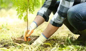 اقدامات محیط‌زیستی ایرانسل همگام با بهار