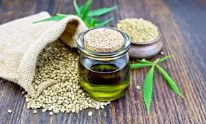 برنامه‌های شرکت پنبه و دانه های روغنی خراسان در سال جدید