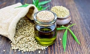 برنامه‌های شرکت پنبه و دانه های روغنی خراسان در سال جدید