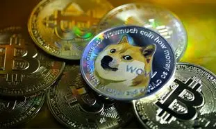 بیت کوین بخریم یا دوج کوین ؟