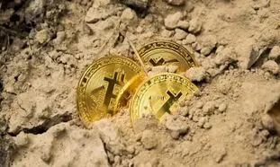 دولت استخراج رمز ارز را ممنوع کرد