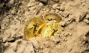 دولت استخراج رمز ارز را ممنوع کرد