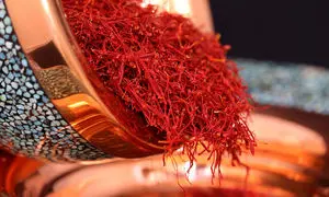 گواهی قدمت یونسکو به سحرخیز رسید