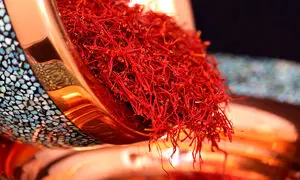 گواهی قدمت یونسکو به سحرخیز رسید